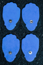 REFILL- Snap Electrodes